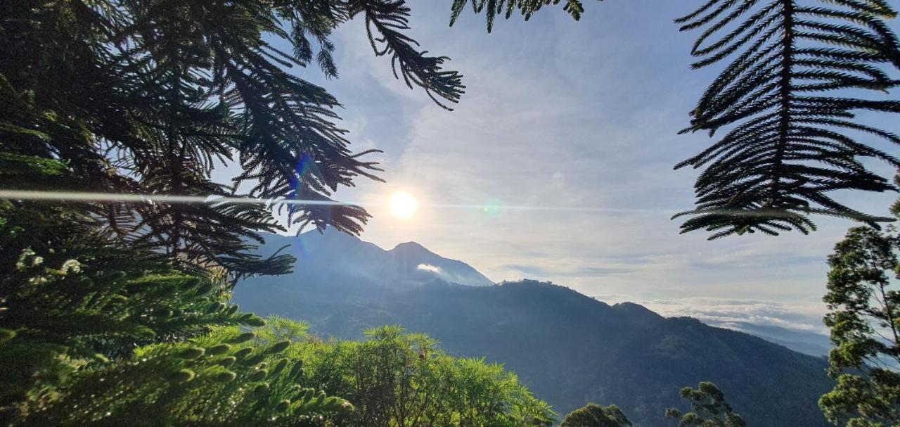 Mount Valley Resort - A Secluded Getaway 蒙纳 外观 照片